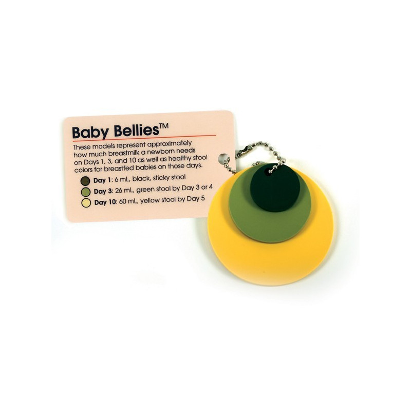 Baby Bellies Pocket Model Baby Bellies Pocket Model