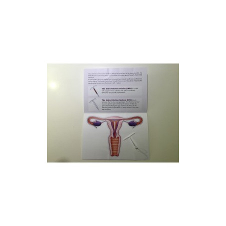 IUS/IUD plastic model and mini booklet
