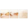 O Cube female condom demonstrator
