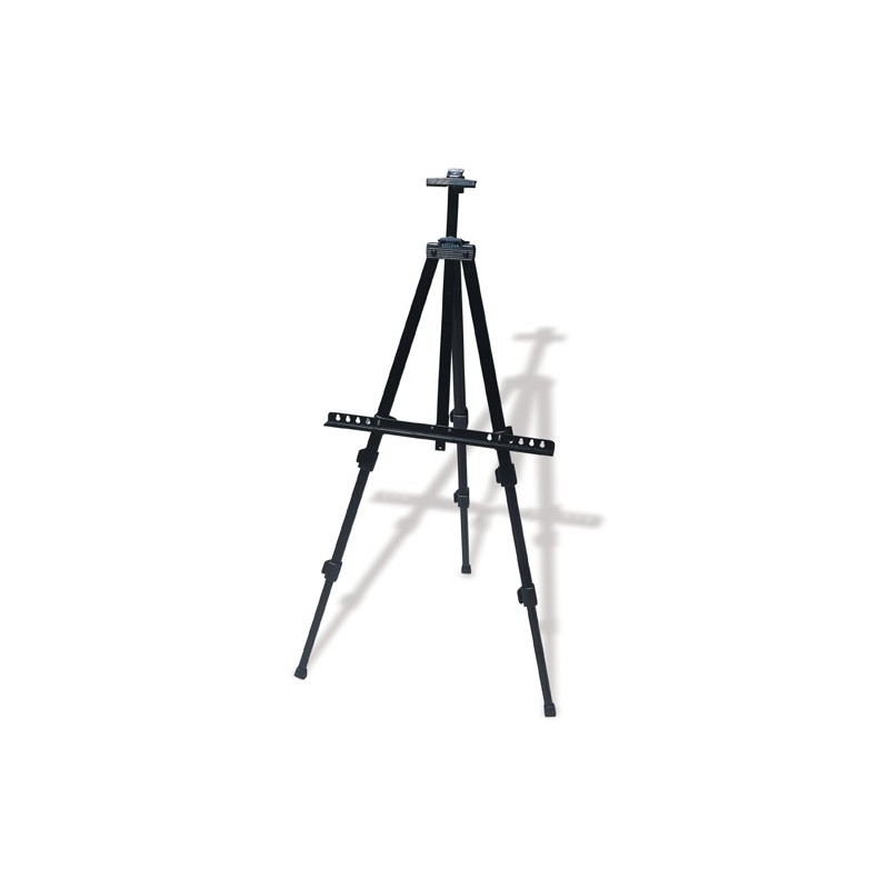 MyBodyBoard -Telescopic Easel